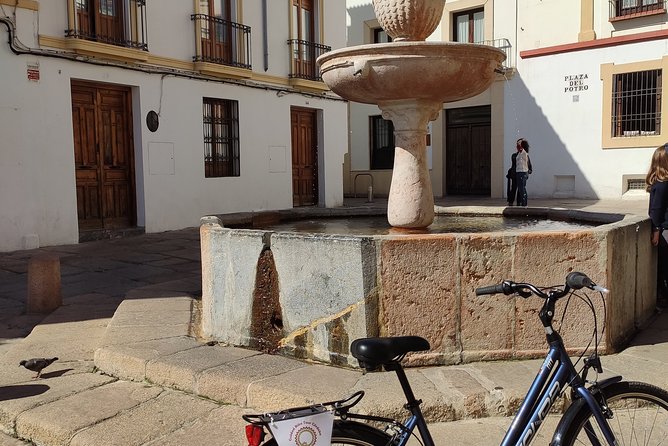 Bike Tour Córdoba - Fernandina Church San Lorenzo: starting with a real neighborhood feel