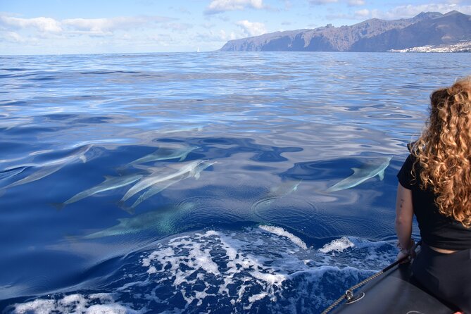 Bonadea II Ecological Whale Watching, 2 hours - Comfort and limits: safety, seasickness, and the 130-kilo rule