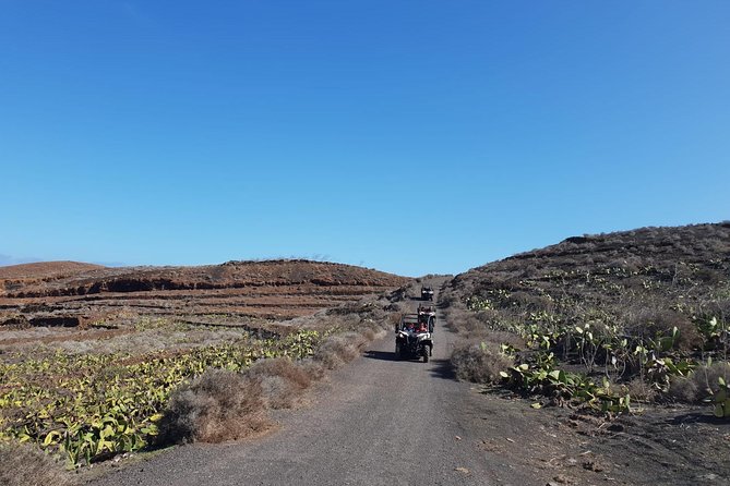 Buggy 3h Guided tour of the north of Lanzarote - The Driving Requirements You Should Not Ignore