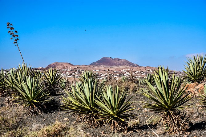 Buggy Fuerteventura Off-Road Excursions - What’s Included, What’s Not, and How to Pack Smart