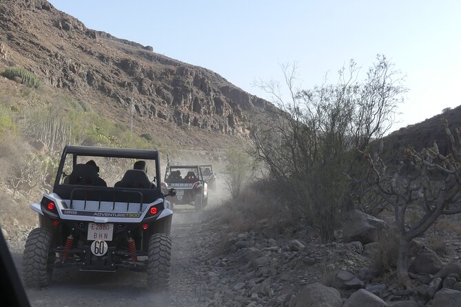 Buggy Tour Gran Canaria - The route: Ayagaures Pedro Gonzales viewpoint, reservoir, bamboo and palms