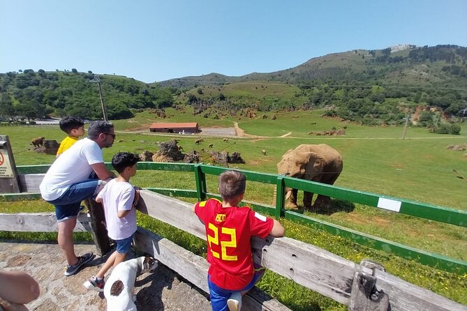 Cabarceno Natural Park Guided Visit from Santander - Live sea lion and bird-raptor demonstrations are the energy boost