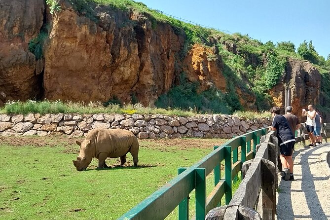 Cabarceno Natural Park Guided Visit from Santander - What your $90.11 actually buys, and why it’s good value