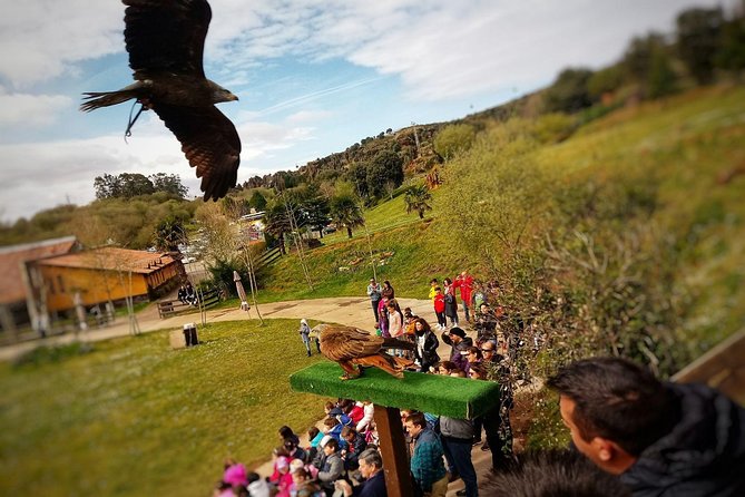 Cabarceno Natural Park Guided Visit from Santander - The guide makes a real difference in how enjoyable it feels