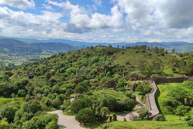 Cabarceno Natural Park Guided Visit from Santander - Hotel pickup from Santander, then a relaxed small-group ride