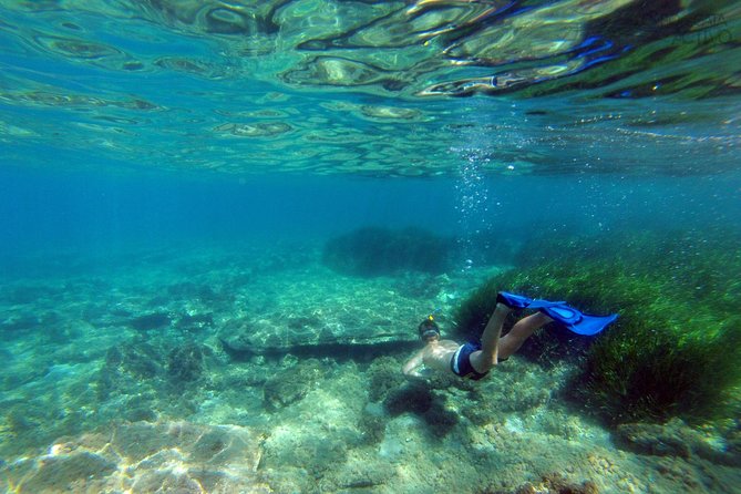 Cabo de Gata Active. Guided kayak and snorkel route through coves of the Natural Park - The natural park stop: seeing volcanic formations up close