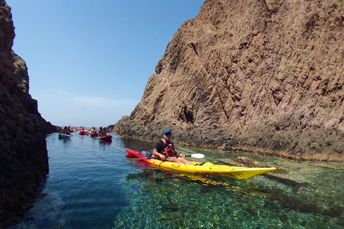 Cabo de Gata Active. Guided kayak and snorkel route through coves of the Natural Park - Snorkel time: what you’re likely to see when the water cooperates