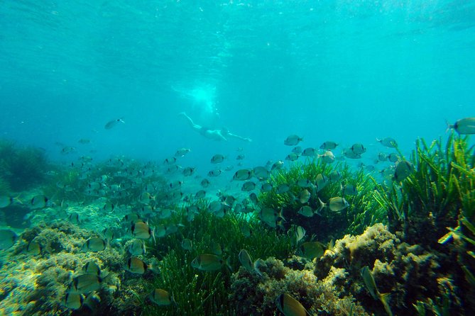 Cabo de Gata Active. Guided kayak and snorkel route through coves of the Natural Park - The route’s pace: active paddling, with breaks that matter