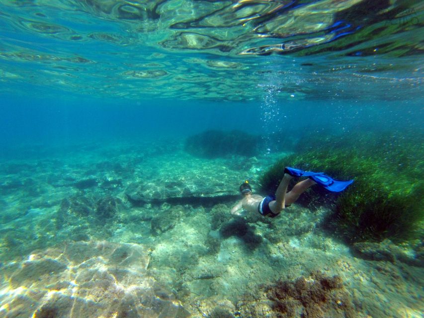 Cabo de Gata: Natural Park Kayaking and Snorkel Excursion - What you actually see: geology, caves, and underwater life