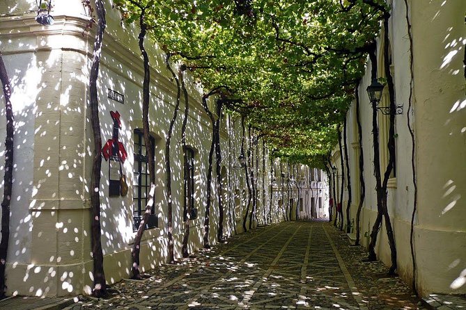 Cadiz and Jerez Day Trip from Seville - Who This Tour Fits Best (and Who Might Prefer Another Plan)