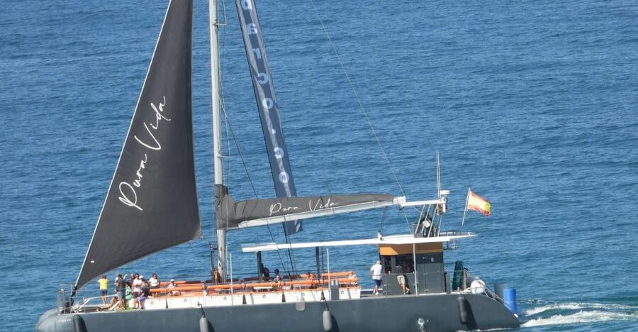 Cádiz: Bay of Cádiz Catamaran Tour with Host - First impressions: why this Bay of Cádiz catamaran works for real travel days