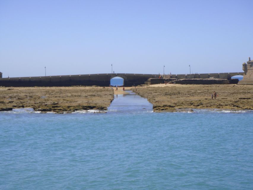 Cádiz: Bay of Cádiz Catamaran Tour with Host - The audio guide: multilingual, useful, and easy to follow