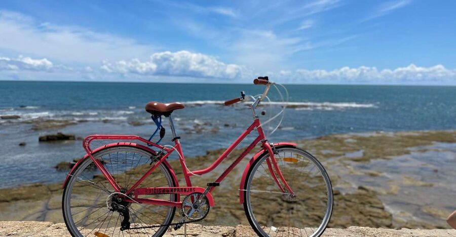 Cadiz: City Bike Tour - The Roman theater stop that turns stone into meaning