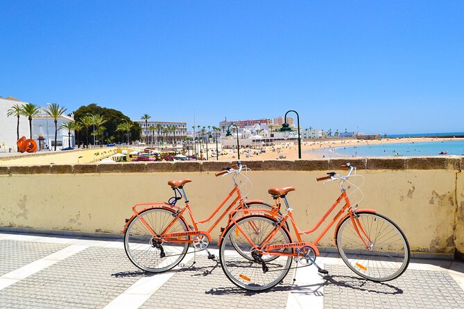 Cadiz Small Group Bike Tour - Stop 3: Catedral de Cádiz, Exterior-First, No Pressure