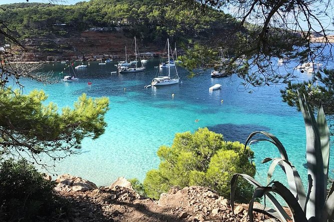 Cala Salada and Unspoiled North Beach Tour. Snorkelling and Aquarium - San Antonio departure: getting on board without stress