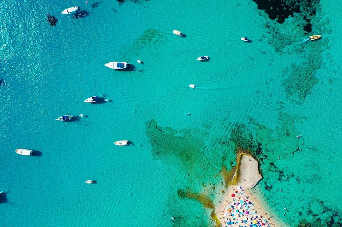 Cala Salada and Unspoiled North Beach Tour. Snorkelling and Aquarium - Cala Salada and the paella walk