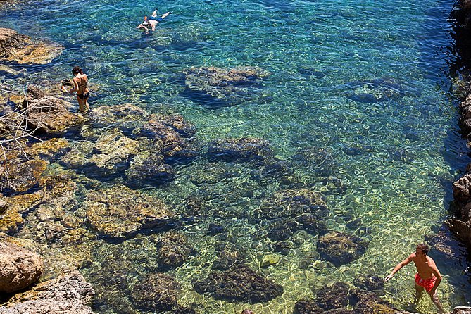 Cala Salada and Unspoiled North Beach Tour. Snorkelling and Aquarium - Value check for $50.81: tickets, gear, and beach time