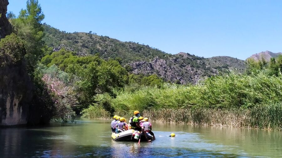 Calasparra: Almadenes Canyon Rafting with Caves and Rock Art - Wildlife spotting and what the guides actually do with it