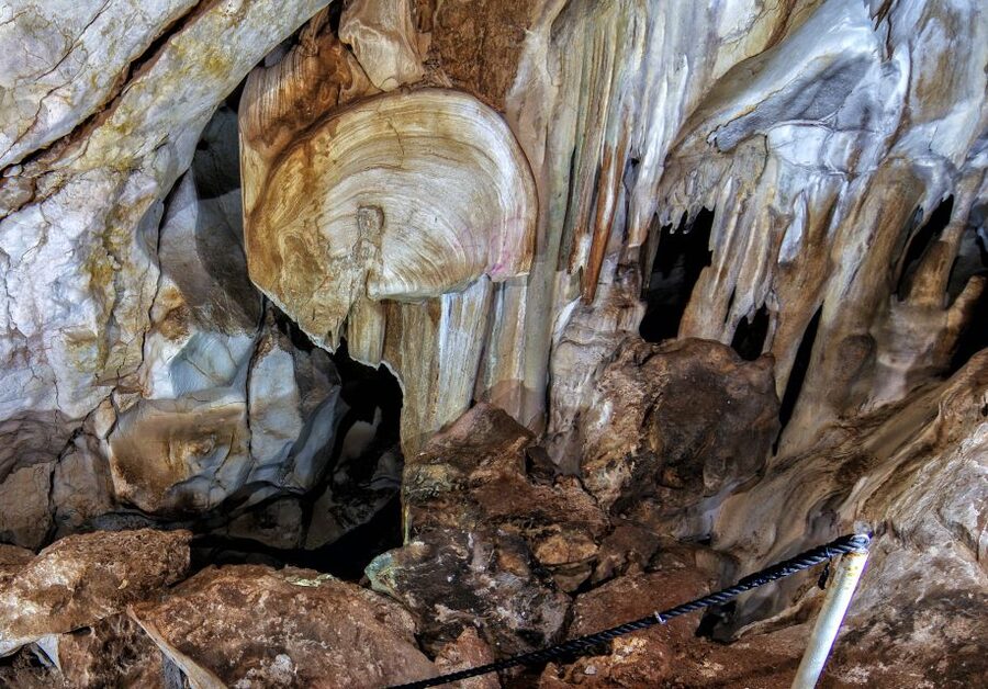Calasparra: Cueva del Puerto Entry Ticket with Guided Tour - Walking 700 meters through 15-million-year-old caves