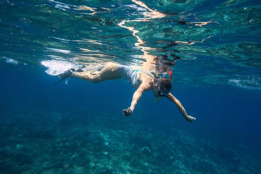 Caleta de Fuste: Catamaran Sailing Experience - Caleta de Fuste to Pozo Negro Bay: Why This 4-Hour Sail Feels Worth It