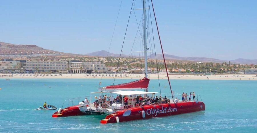 Caleta de Fuste: Catamaran Sailing Experience - Finding the Obycat at Marina Caleta de Fuste, Then Sailing Out