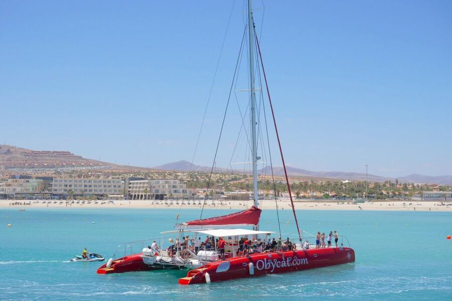 Caleta de Fuste: Catamaran Sailing Experience - Pozo Negro Bay Stop: Snorkeling, Jumping In, and Sun on Deck