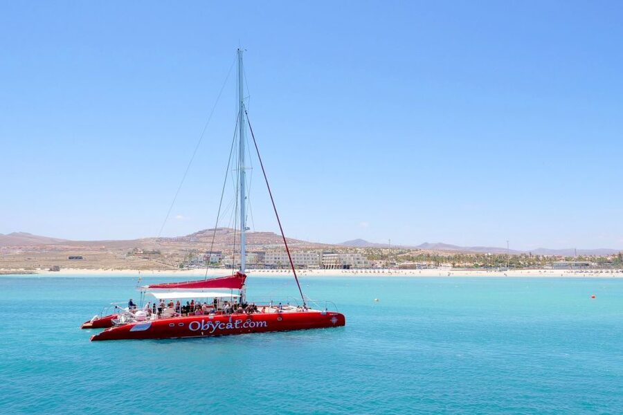 Caleta de Fuste: Catamaran Sailing Experience - Should You Book Obycat to Pozo Negro Bay?
