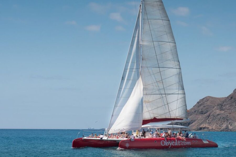 Caleta de Fuste: Catamaran Sailing Experience - On the Route: Dolphins, Pilot Whales, and Sea Turtle Chances