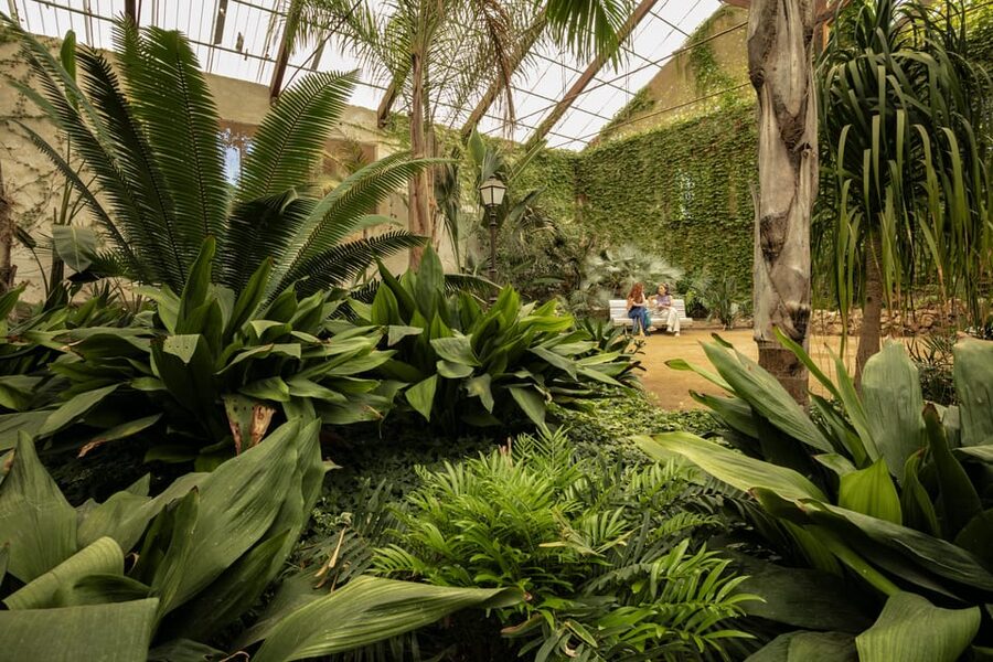 Cambrils: Parc Samà Entry Ticket - The Aviary: Birds, Endangered Species, and Conservation Research