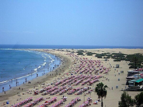 Camel Riding in Maspalomas Dunes - Key highlights worth planning around