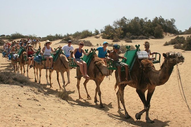 Camel Riding in Maspalomas Dunes - Maspalomas dunes by camel pace, why this 30 minutes works