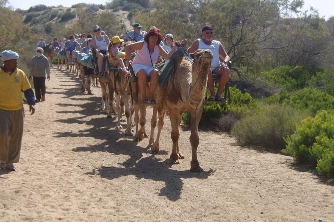 Camel Riding in Maspalomas Dunes - Price and value: what you get for about $21.63