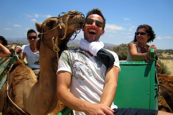 Camel Riding in Maspalomas Dunes - Where to meet at Maspalomas Dunes dromedary (and how not to waste time)