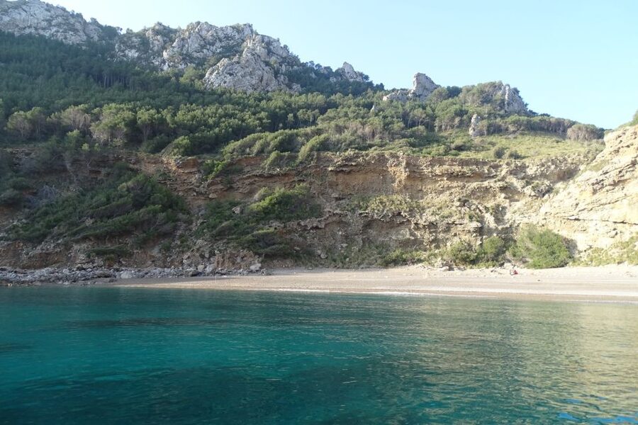 Can Picafort: Dolphin Watching Boat Tour with Swimming - FAQ