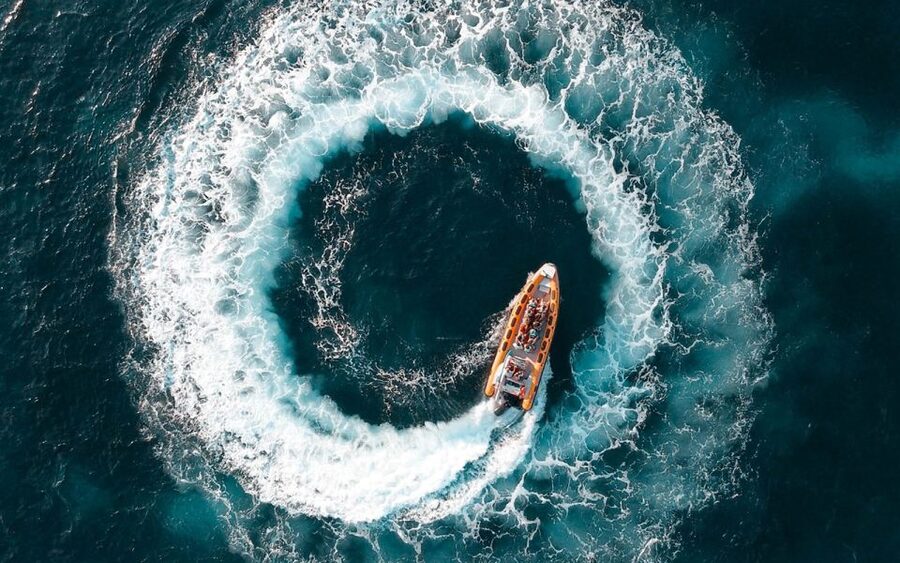Can Picafort: Dolphin Watching Boat Tour with Swimming - The cave and cove stop that turns a dolphin trip into a full outing