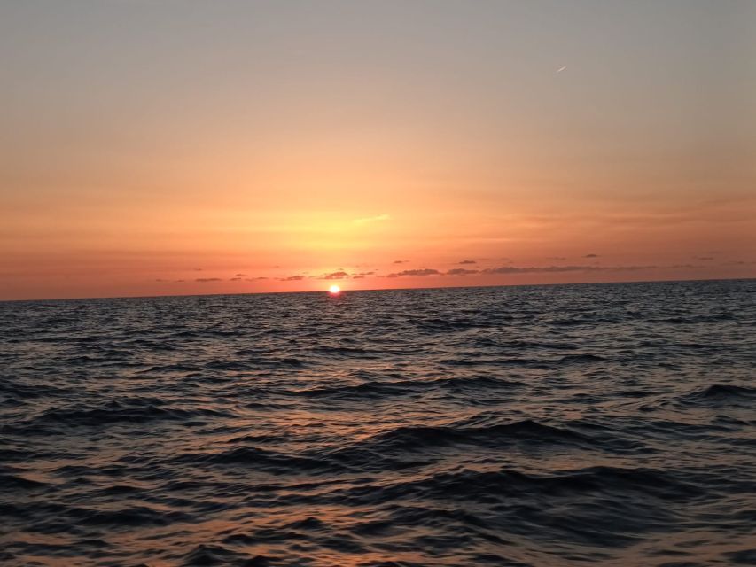 Can Picafort: Dolphin Watching Boat Tour with Swimming - Swimming and snorkeling: plan for the conditions, not the brochure