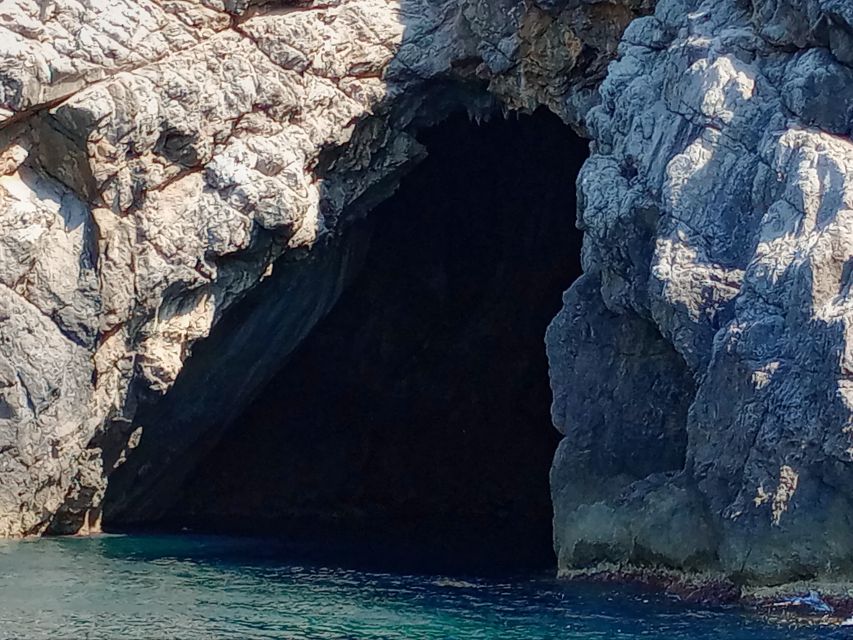 Can Picafort: Dolphin Watching Boat Tour with Swimming - Who should book this dolphin watching RIB tour from Can Picafort
