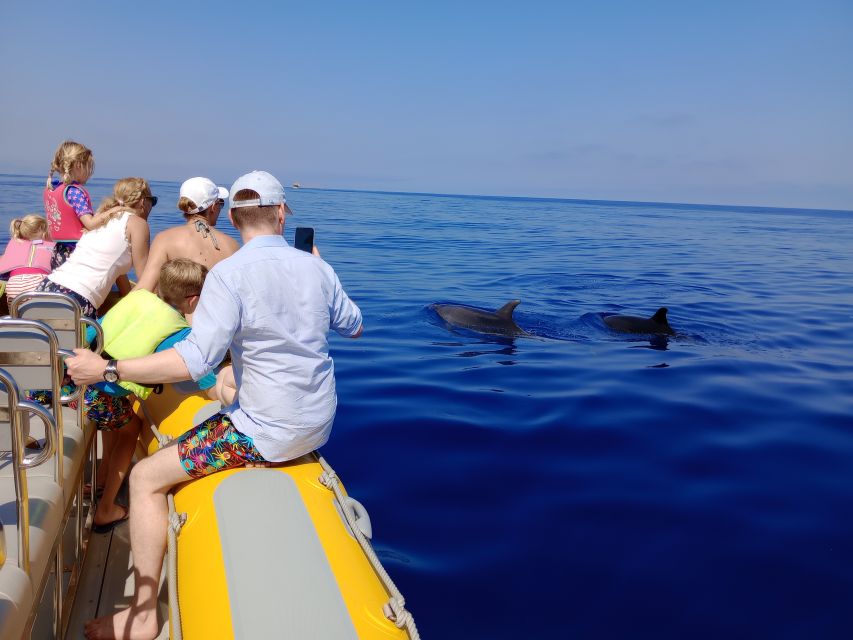 Can Picafort: Dolphin Watching Boat Tour with Swimming - How dolphin watching works on a small RIB boat