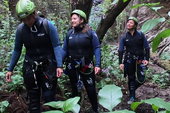 Canyoning Experience in Gran Canaria (Cernícalos canyon) - Logistics that make a half-day tour easier: pickup, group size, and meeting point