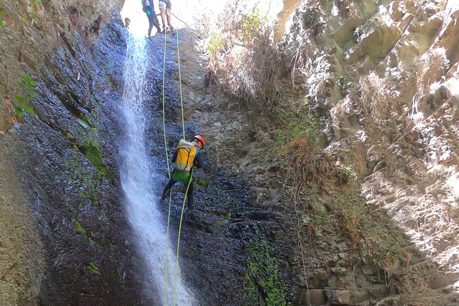 Canyoning Experience in Gran Canaria (Cernícalos canyon) - Price and value: what $79.85 buys you, and why it often feels fair