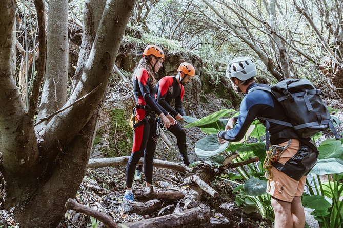 Canyoning with Waterfalls in the Rainforest - Small Groups ツ - Price and value, what $102.19 really covers