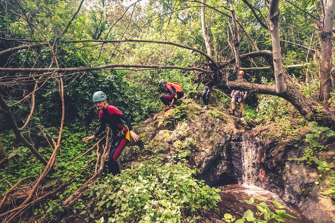 Canyoning with Waterfalls in the Rainforest - Small Groups ツ - What to bring, and how to avoid the usual soggy-day problems