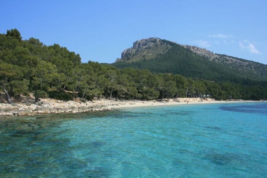 Cap de Formentor: Market, Beach, and Alcudia Tour - Cap de Formentor by coastal roads: where the drive becomes part of the attraction