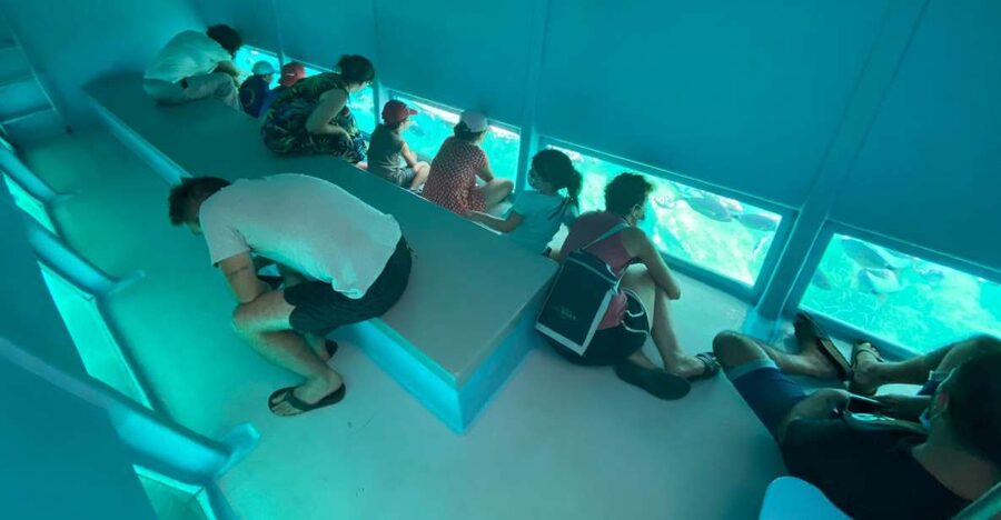 Cap Norfeu: Costa Brava Catamaran Trip with Underwater Views - Where you board: two starting points in Roses