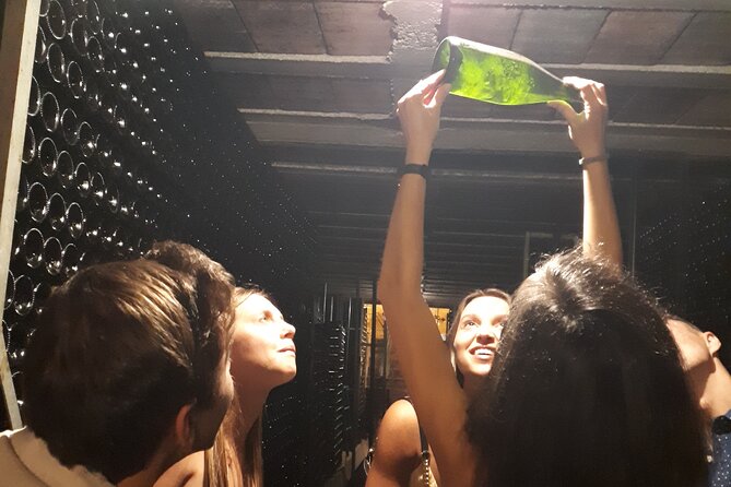 Cava tour to 3 family wineries with hotel pick-up - Key Highlights You’ll Care About