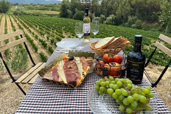 Cava tour to 3 family wineries with hotel pick-up - The Small-Group Factor: 8 People Max, Better Conversations