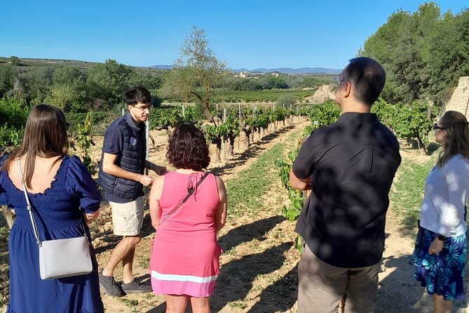 Cava tour to 3 family wineries with hotel pick-up - Giro del Gorner’s Five-Century Cellar and Vineyard Lunch