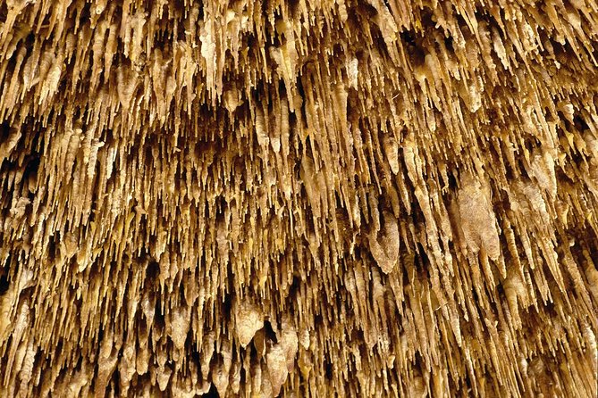 Caves of Drach Half-Day Tour with Boat Trip and Music Concert - Coach timing, comfort, and why being punctual matters