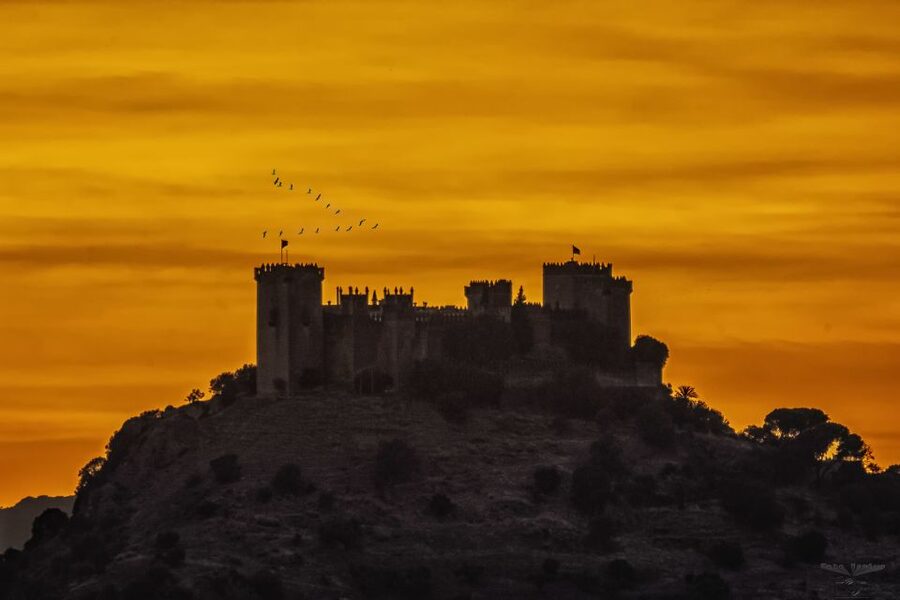 Córdoba: Almódovar Castle Entrance Ticket - Price and value: is $11 worth it?