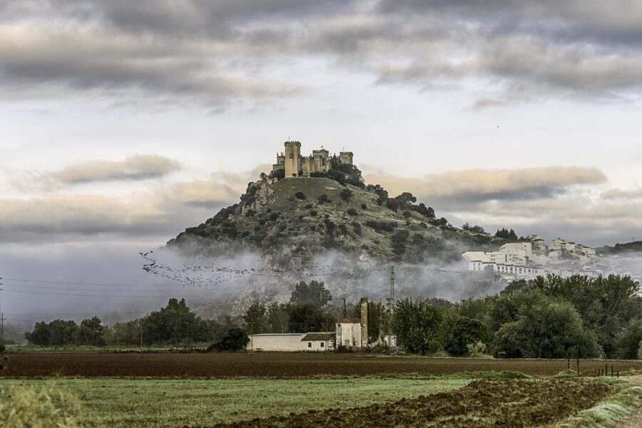 Córdoba: Almódovar Castle Entrance Ticket - Who should book this ticket, and who should skip it?